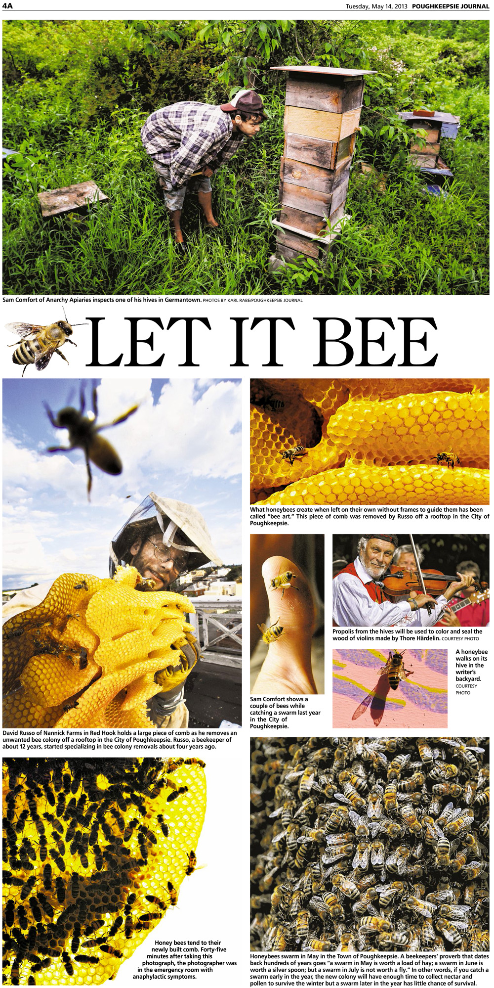 Bee Story, page 2