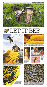 Bee Story, page 2